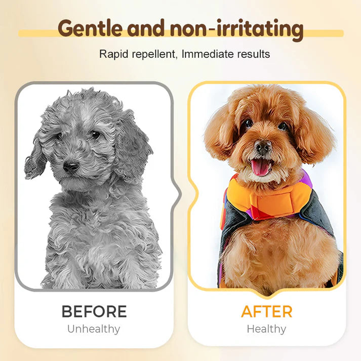 Flea and tick repellent spray for cats and dogs🐶(Buy1 get 1 free)